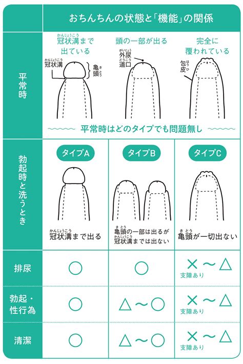 ちんこの皮|ちんこの皮の剥き方が知りたいです。